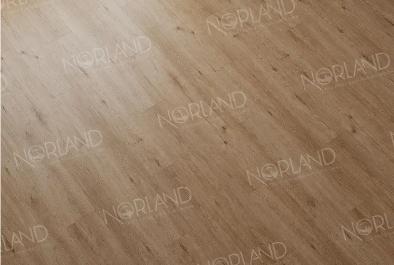 LVT ПЛИТКА ABBI 1003-1 — изображение 5