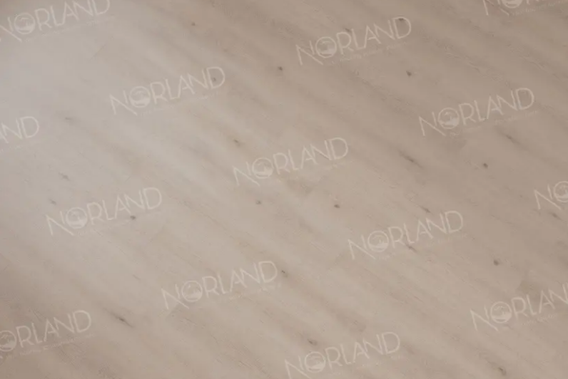 LVT ПЛИТКА ALANTE 1003-5 — изображение 5