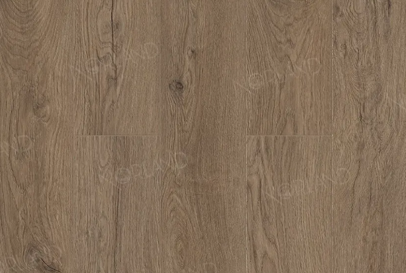 LVT ПЛИТКА MERIAN 1003-17 — изображение 5